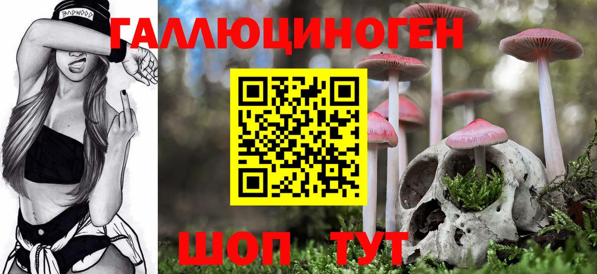Донской  Псилоцибиновые грибы мухоморы  Псилоцибиновые грибы Magic Shrooms  Вход с VPN 